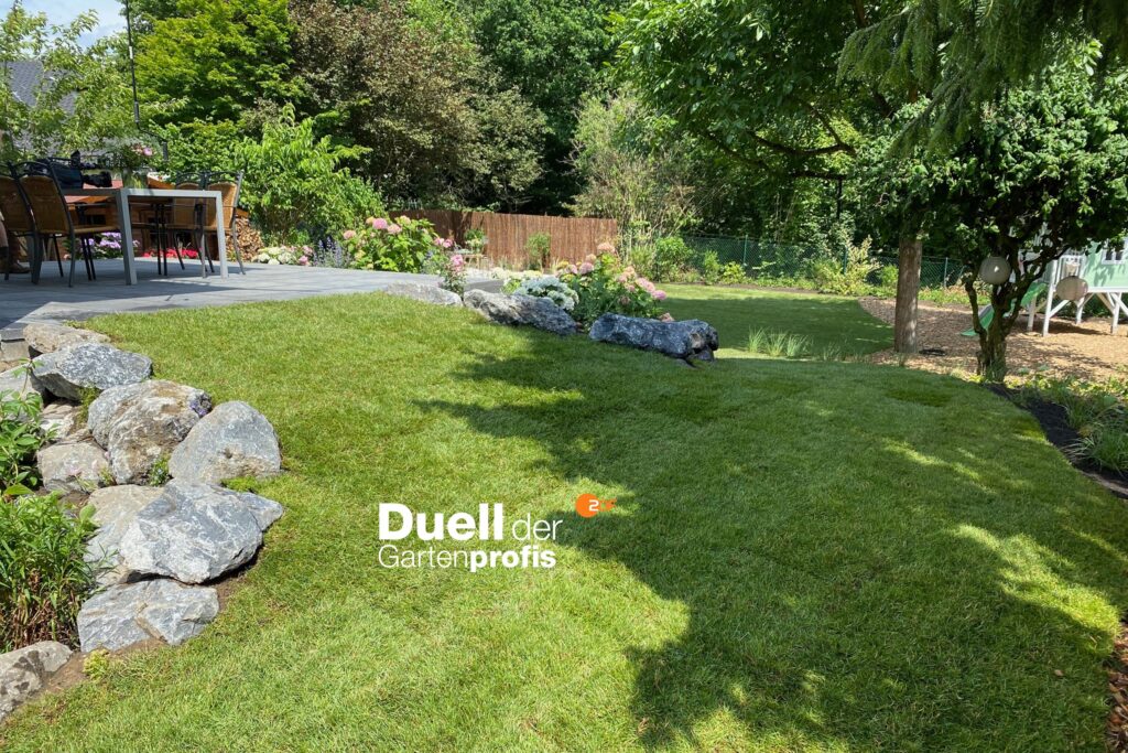 Nico zu Gast bei "Das Duell der Gartenprofis" beim ZDF